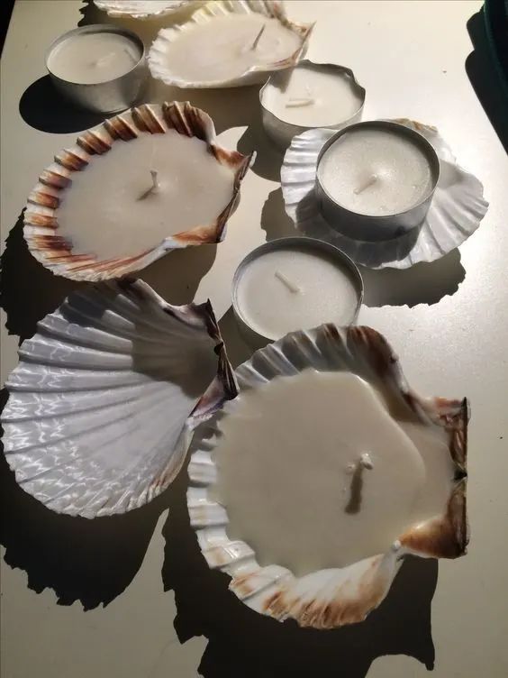 several seashells with candles in them on a table