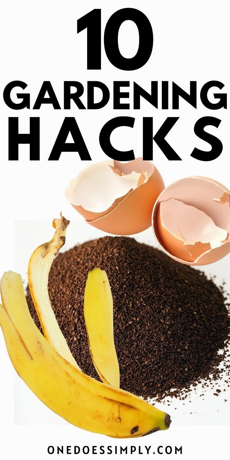 an egg shell, banana and seeds with text overlay reading 10 gardening hacks