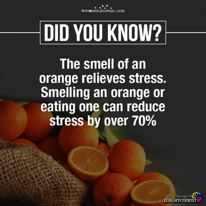 oranges with the words did you know?