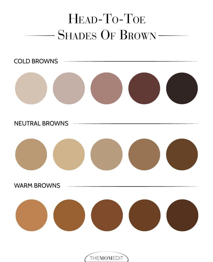 the shades of brown are shown in this chart