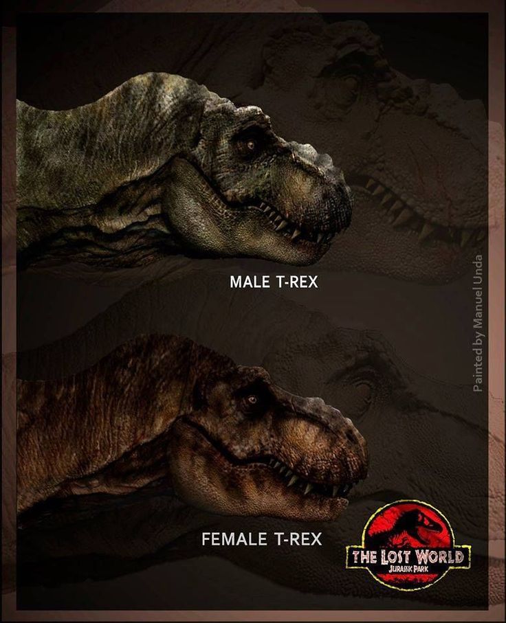 an image of two dinosaurs with different facial expressions