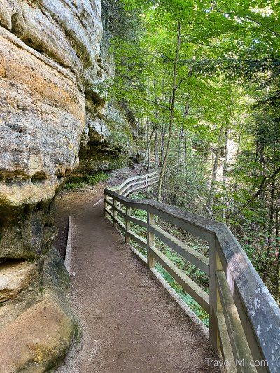 a wooden walkway leading to a cliff in the woods