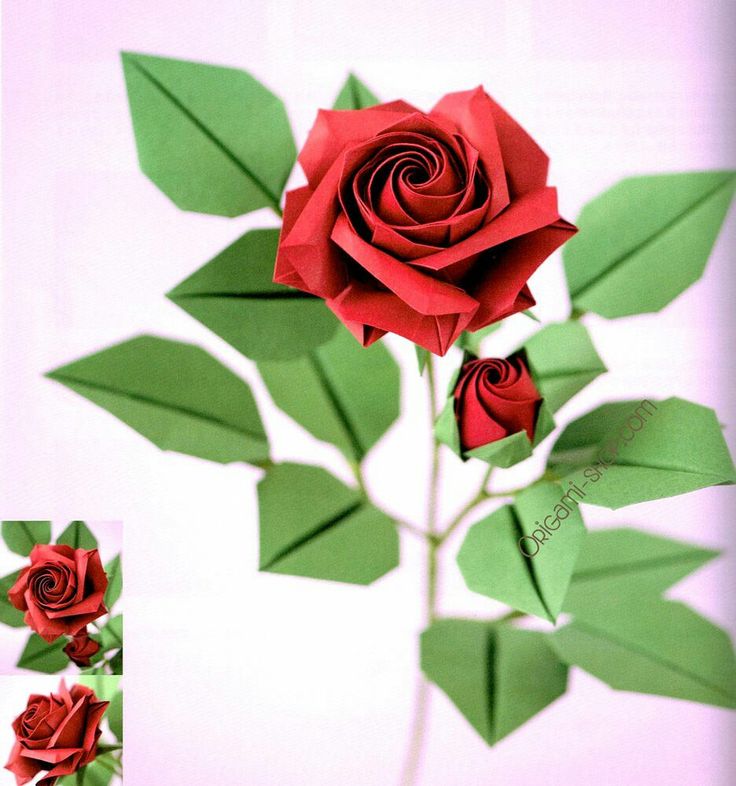 a red rose is cut out of paper and placed on top of another piece of paper