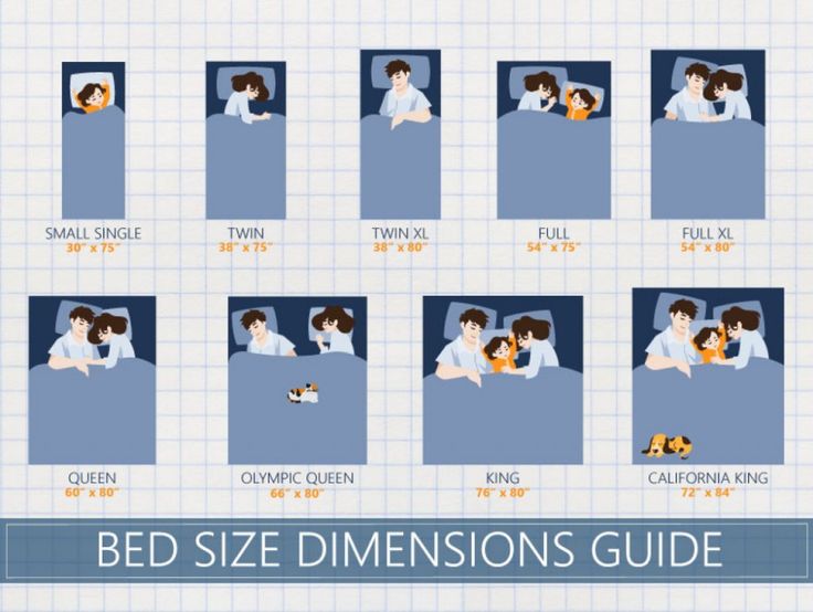 the bed size comparison guide is shown in several different positions, including two people and one cat