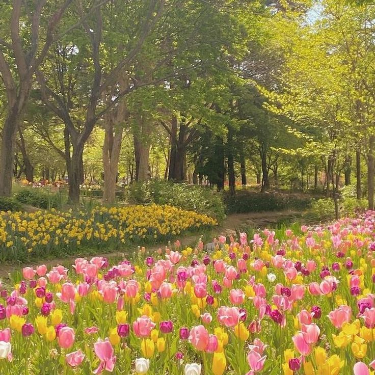 a field full of flowers with trees in the background
