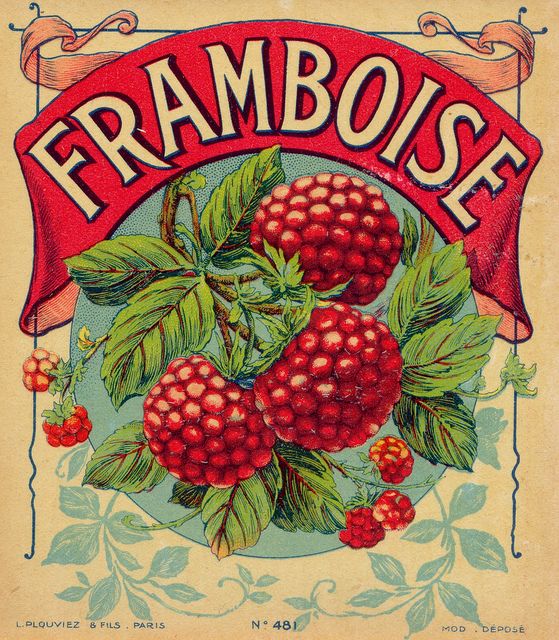 an old fashioned fruit crate label with raspberries on it