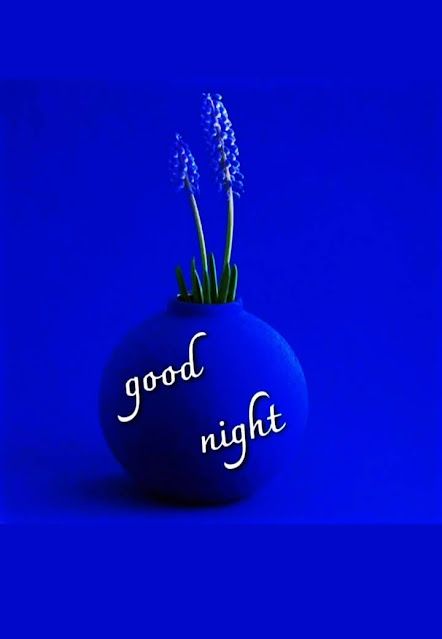 a blue vase filled with flowers and the words good night written in white on it