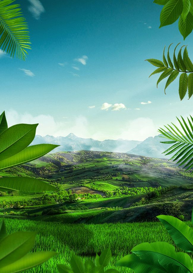 an image of a lush green landscape with mountains in the background and trees to the side