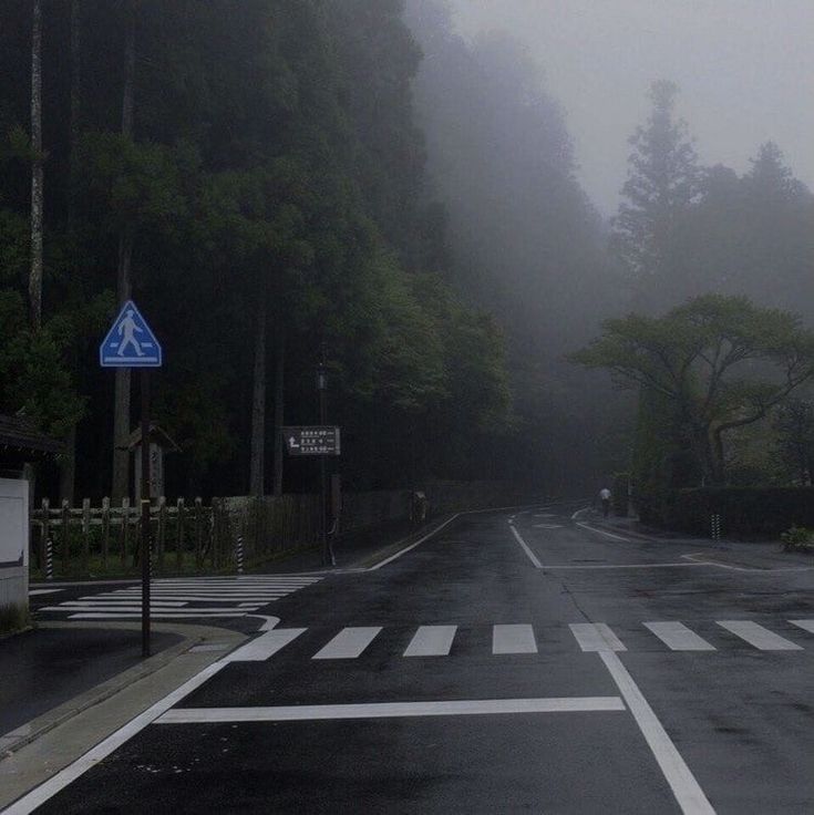 a foggy street with trees on both sides and signs in the middle that are clearly visible