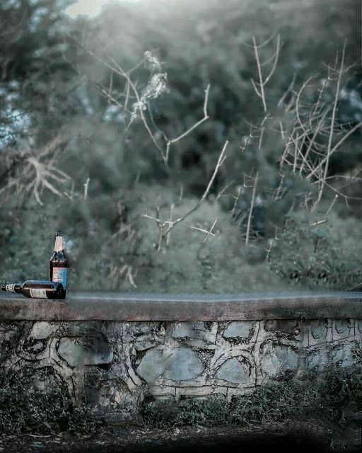 two bottles are sitting on the edge of a stone wall near some trees and bushes