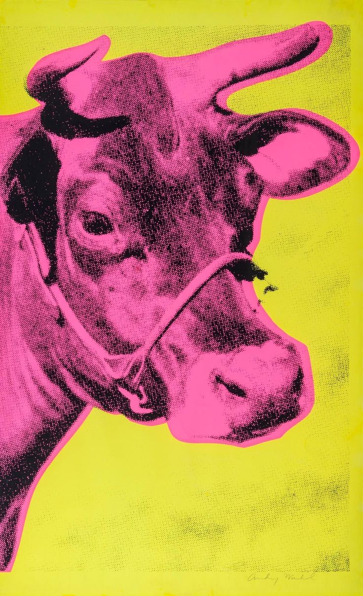 a close up of a cow on a yellow and pink background