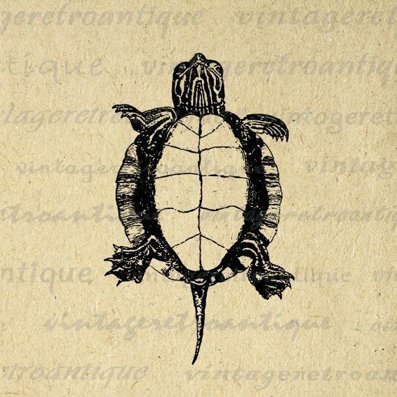 a drawing of a turtle on top of a piece of paper with writing underneath it