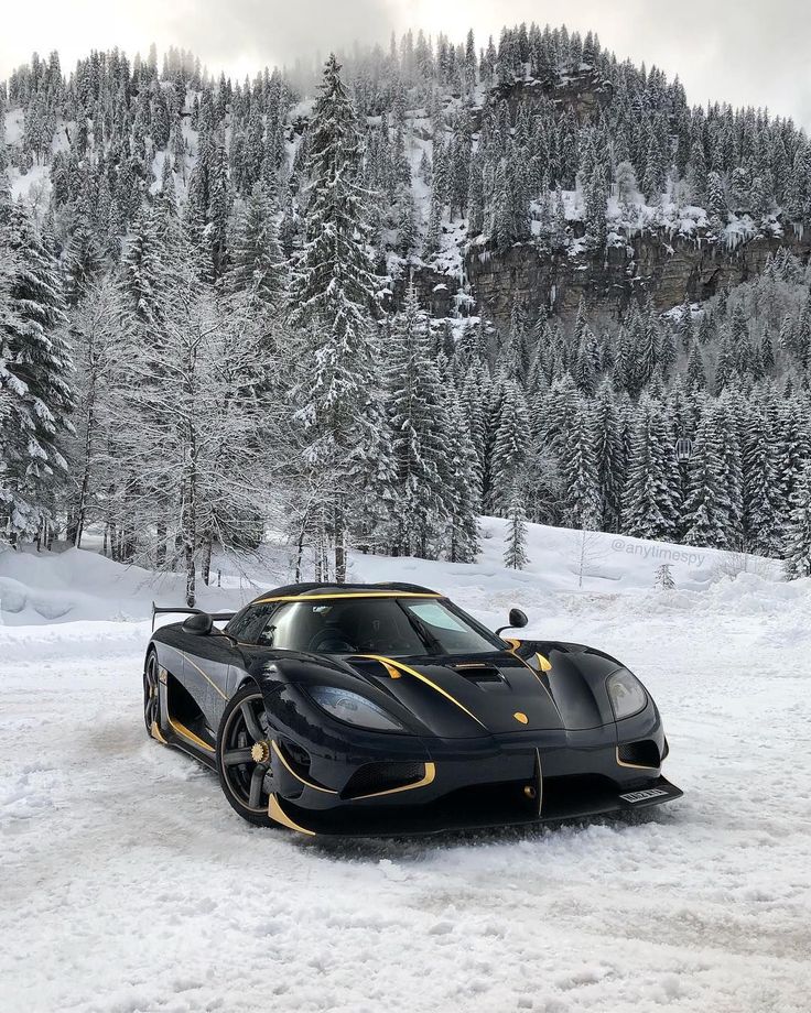 a black and gold sports car parked in the snow next to some pine covered trees