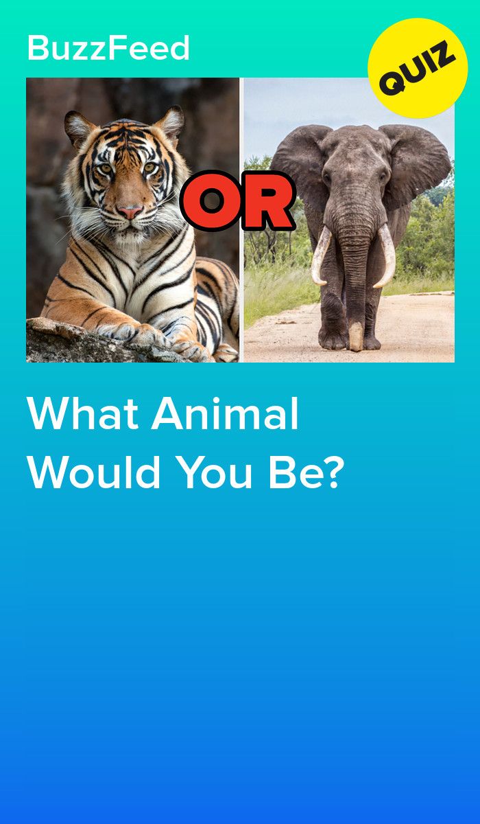 an elephant and a tiger are shown with the words, what animal would you be?