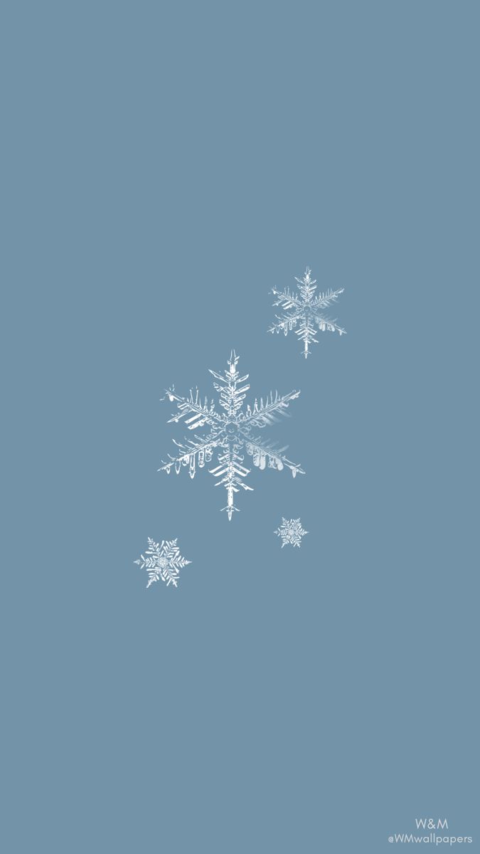 snowflakes are floating in the air on a blue background