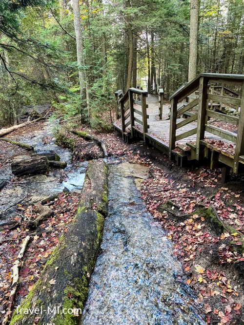 Visit Largo Springs in Northern Michigan: Jaw-Dropping Natural Springs Perfect Getaway Nature, Michigan Scenery, Hiking Scenery, Oscoda Michigan, Photography Hiking, Spring Camping, Michigan Vacations, Awesome Photography, Michigan Travel