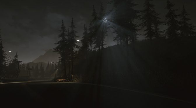 the dark forest is lit up by street lights
