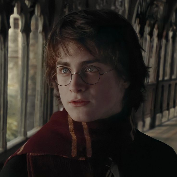 harry potter in glasses looking at the camera