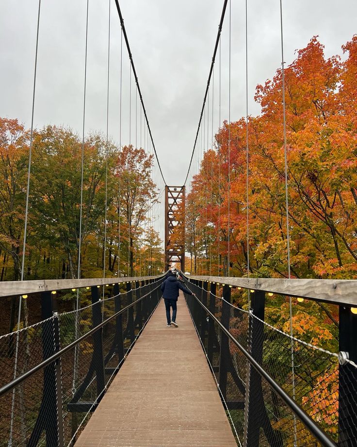 SkyBridge Michigan, northern Michigan, fall getaway, Midwest getaway, things to do in Michigan, fall aesthetic, autumn leaves Autumn In Michigan, Skybridge Michigan, Aesthetic Autumn Leaves, Michigan Aesthetic, Filler Aesthetic, Midwest Getaways, Things To Do In Michigan, Fall In Michigan, Michigan Fall