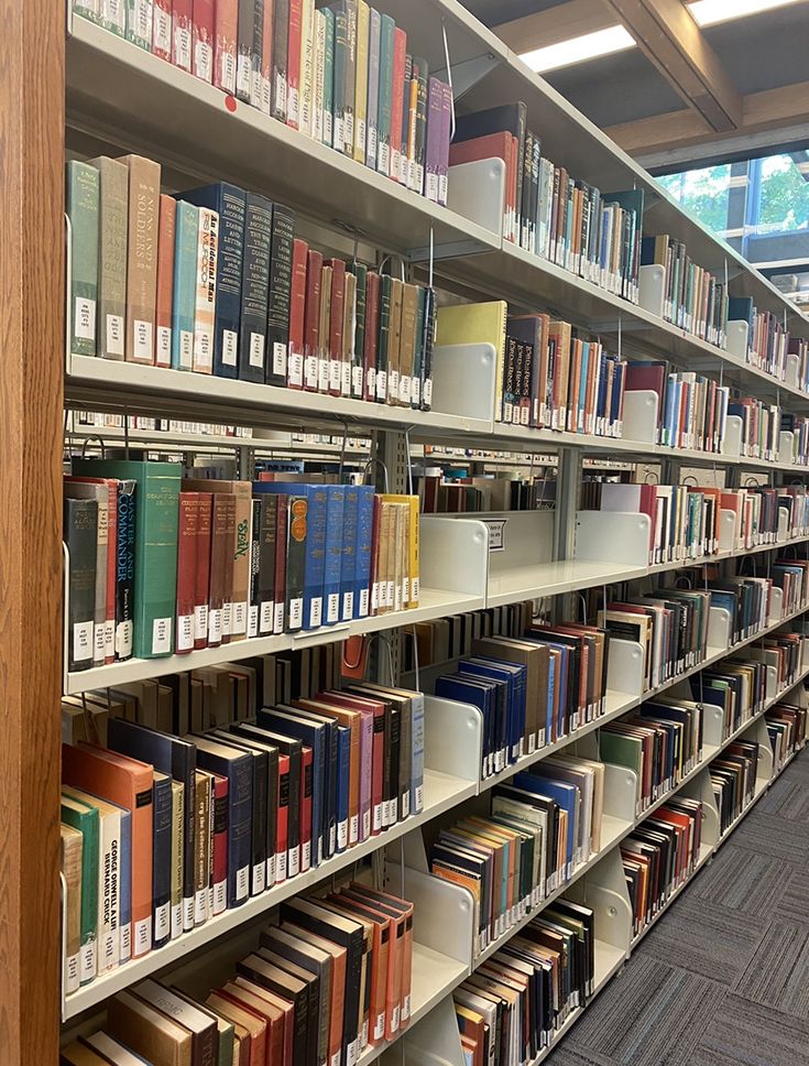 rows of books on shelves in a library