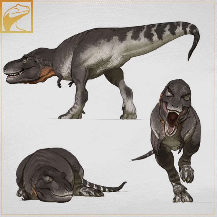three different types of dinosaurs with their mouths open and teeth wide, standing or laying down