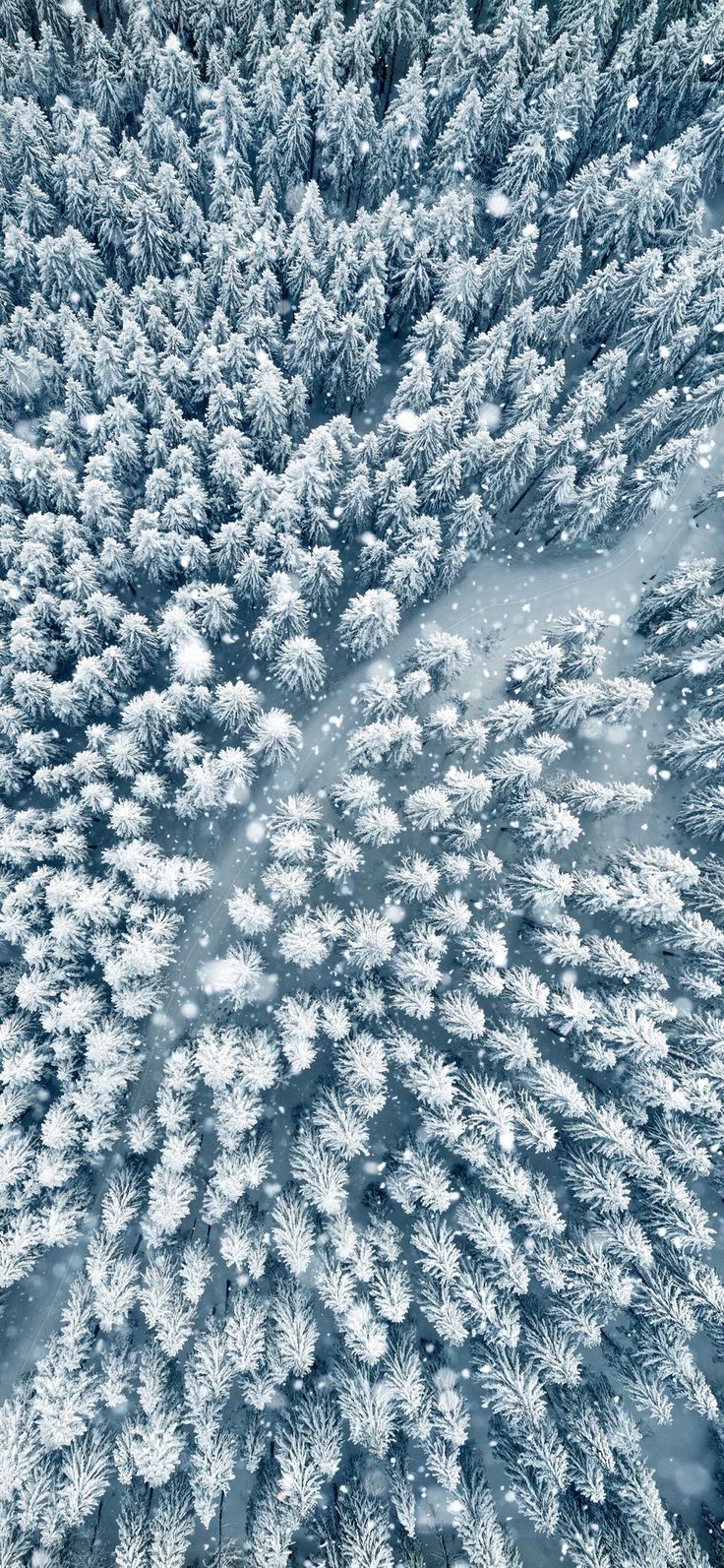 an aerial view of snow covered pine trees