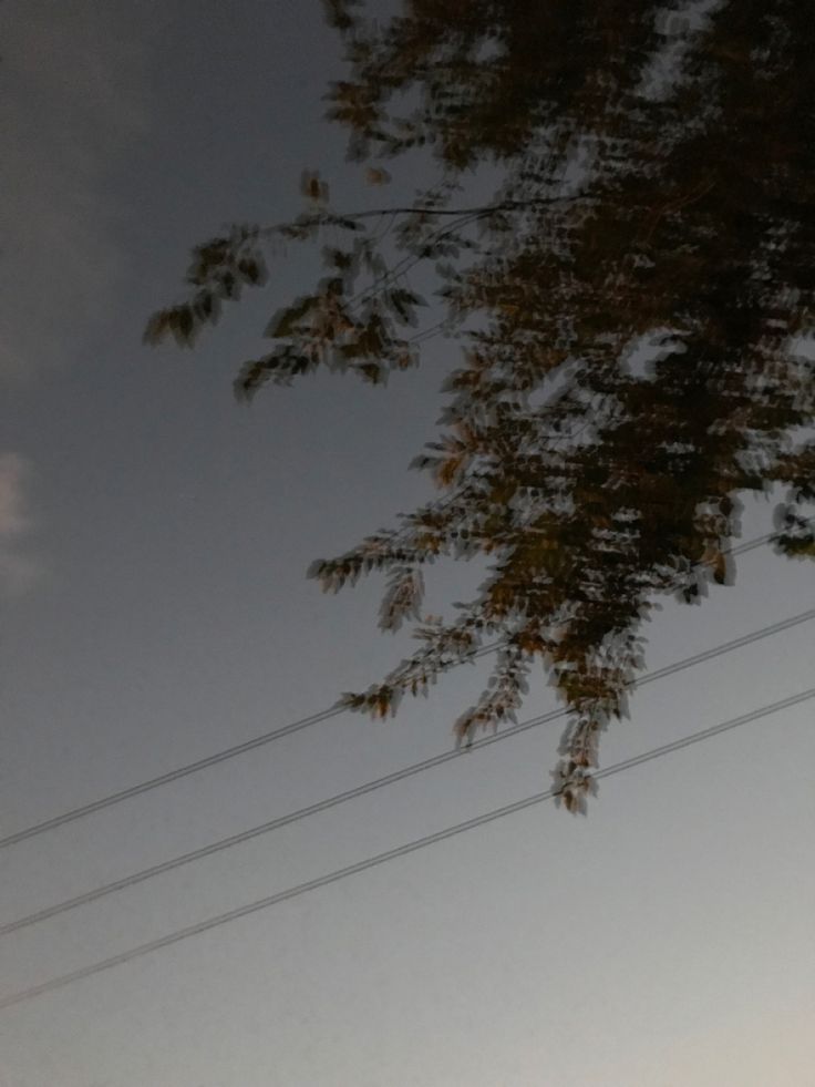 an airplane flying in the sky with power lines and trees behind it at night time