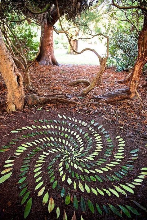 a circular design made out of leaves on the ground in front of some tree trunks