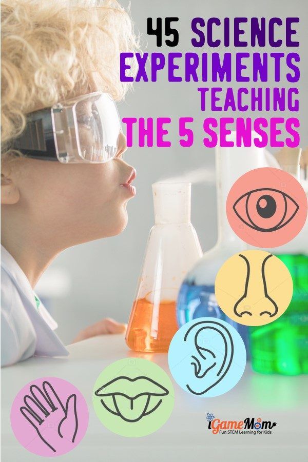 Learn the 5 senses with science experiments, 5-10 experiments for each sense: taste, smell, touch, see, hearing. Easy STEM activities for kids from from preschool to elementary to middle school Sight Science Experiment, 5 Senses Science Experiments Preschool, 5 Senses Steam Activities, Senses Science Activities Preschool, 5 Senses Stem Activities Preschool, Science 5 Senses Preschool, Sense Of Taste Activities Preschool Science Experiments, 5 Senses Activities For 3rd Grade, 5 Senses Activities For 2nd Grade