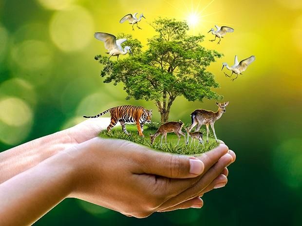 a person's hand holding a small tree with animals on it