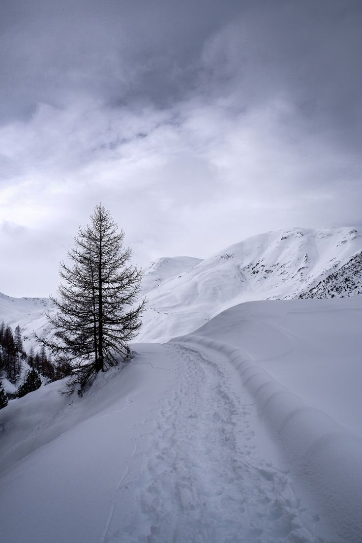 a lone tree stands in the middle of a snow covered mountain road with mountains in the background