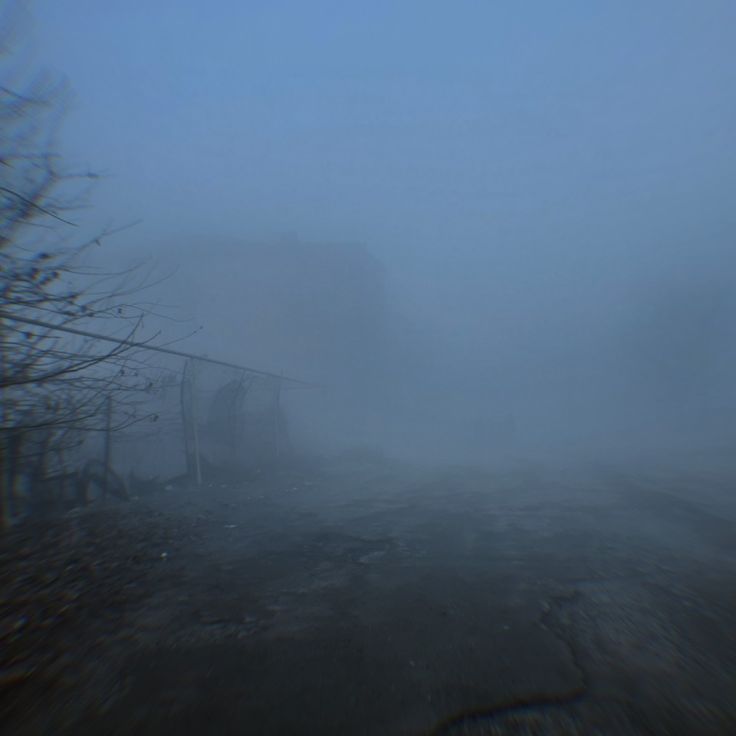 a foggy landscape with some trees in the foreground and an old building in the background