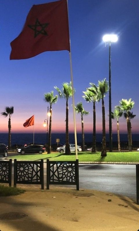 a red flag flying in the wind next to palm trees and ocean at night time