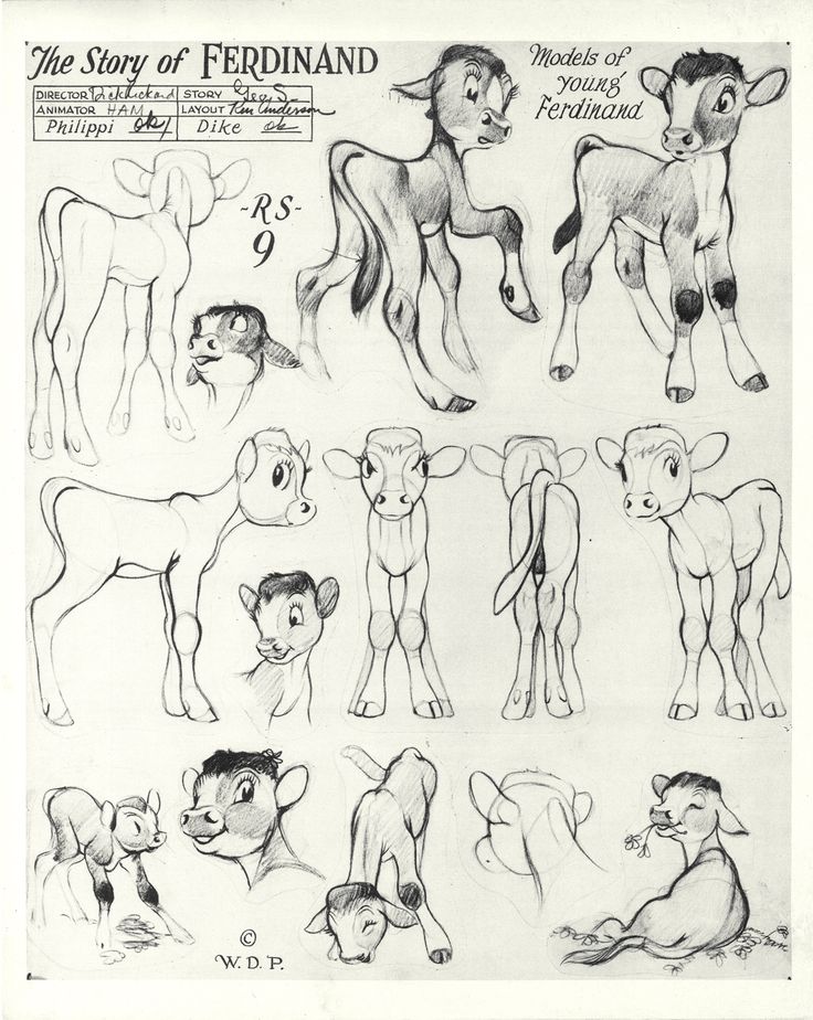 the story of ferdinand character sheet from disney's animated film,