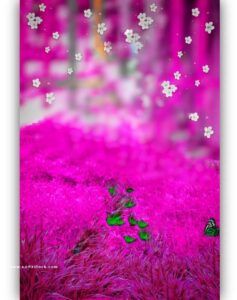 pink grass with white flowers and butterflies in the background