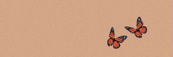 two orange butterflies flying in the sky on a tan background with black border around them