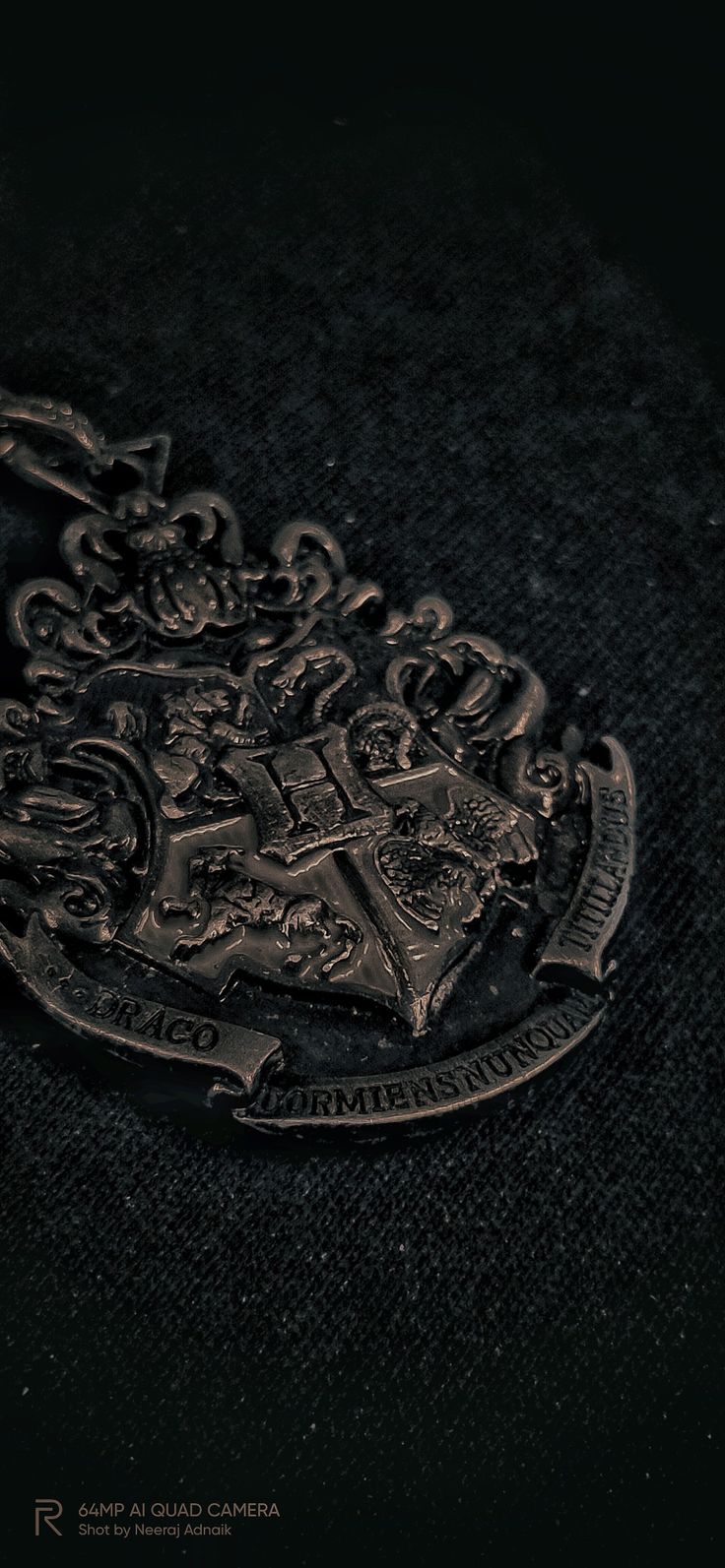 a black and white photo of a coat of arms emblem on a dark cloth background