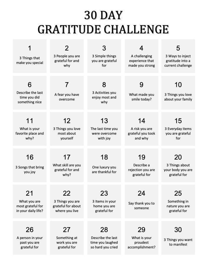 the 30 day gratitude challenge is shown in black and white with text