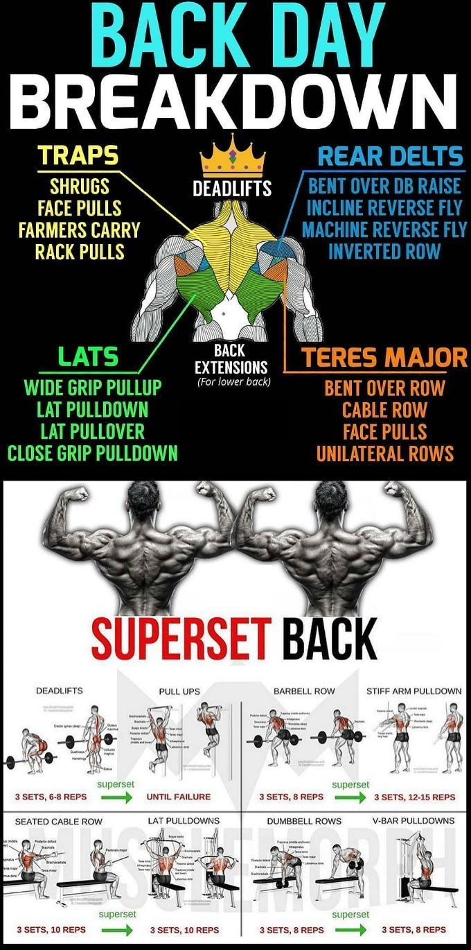 the back day breakdown poster shows how to do an upper and lower body workout