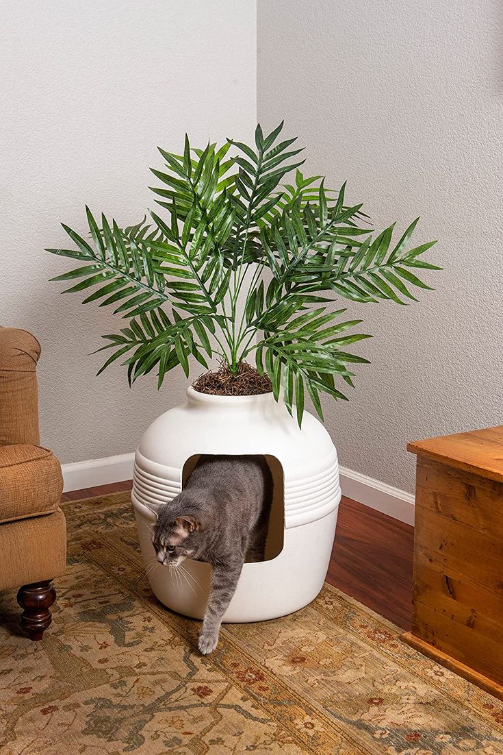 a cat in a potted plant on the floor