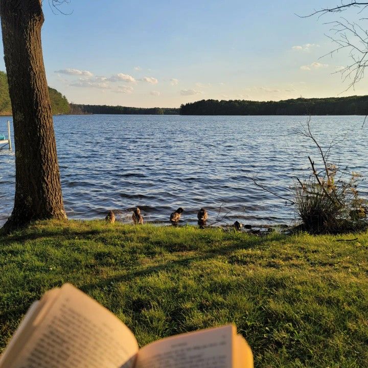 an open book sitting on top of a lush green field next to a lake