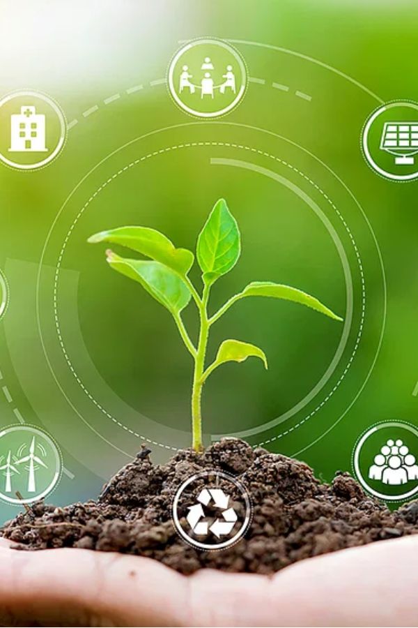 a person's hand holding a small green plant with icons surrounding it on a blurred background