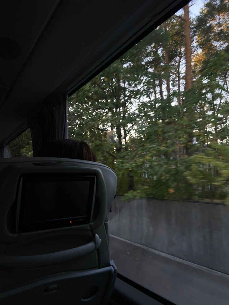 the back seat of a vehicle with trees in the background and one person sitting down