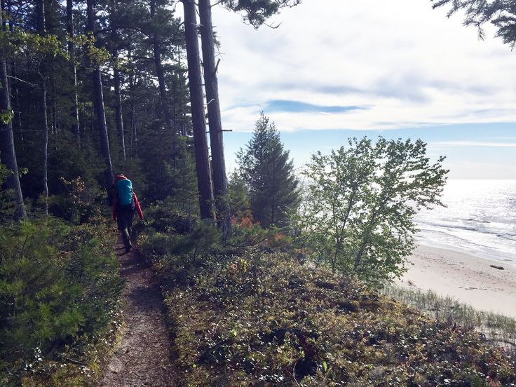 a person walking down a trail near the beach