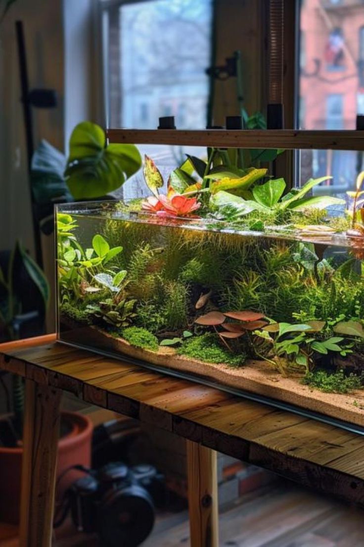 an aquarium filled with plants and rocks on top of a wooden table