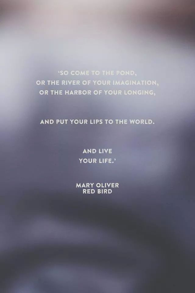 a blurry photo with the words, so come to the pond or the river of your imagiation, or the harbor of your longing and put your life to the world