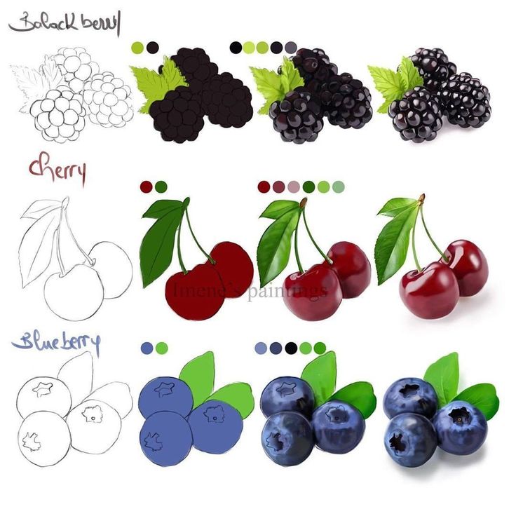 an image of cherries and blackberries on a white background with the word berry written below