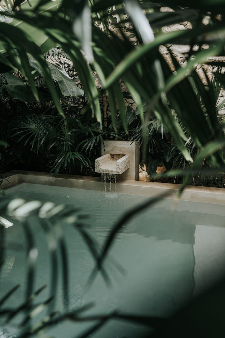 an outdoor pool surrounded by greenery and plants