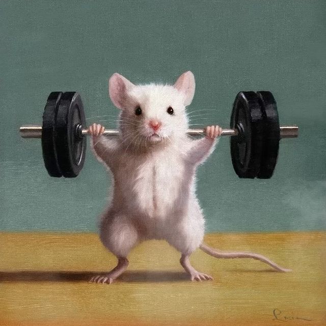 a white mouse lifting a barbell with two hands
