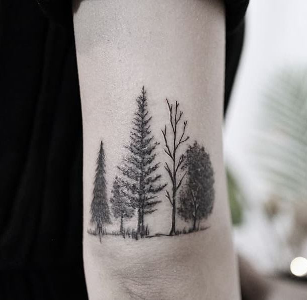 a black and white photo of trees on the arm